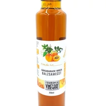 Sárgabarack-bodza balzsamecet 250 ml Formanek Vinegart
