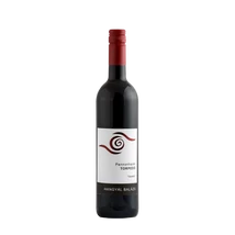 Pannonhalmi Torpedó "A LÁZADÓ"